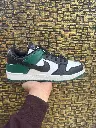 NIKE SB DUNK PRO